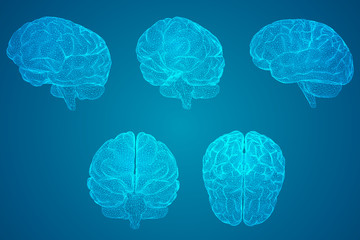 想问一下殷世航大概有多高？