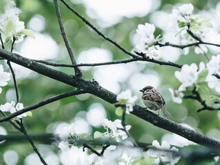 爱因斯坦的挫折故事300字